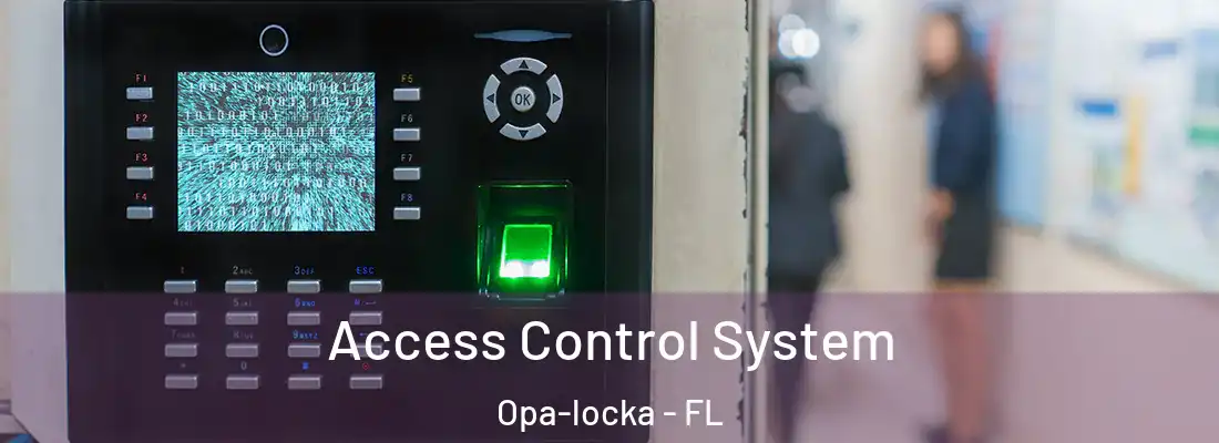  Access Control System Opa-locka - FL
