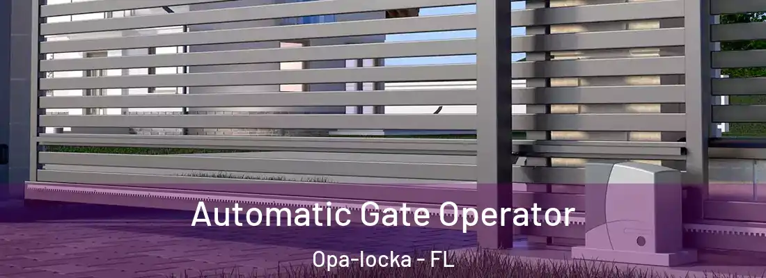 Automatic Gate Operator Opa-locka - FL