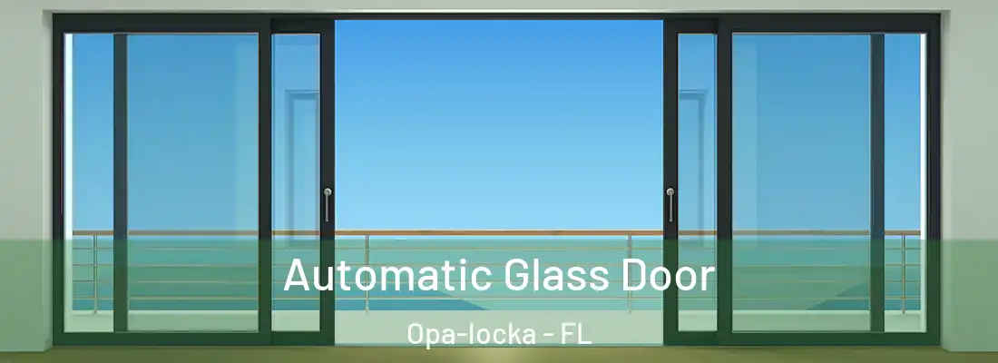  Automatic Glass Door Opa-locka - FL