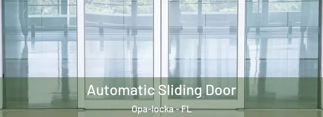  Automatic Sliding Door Opa-locka - FL
