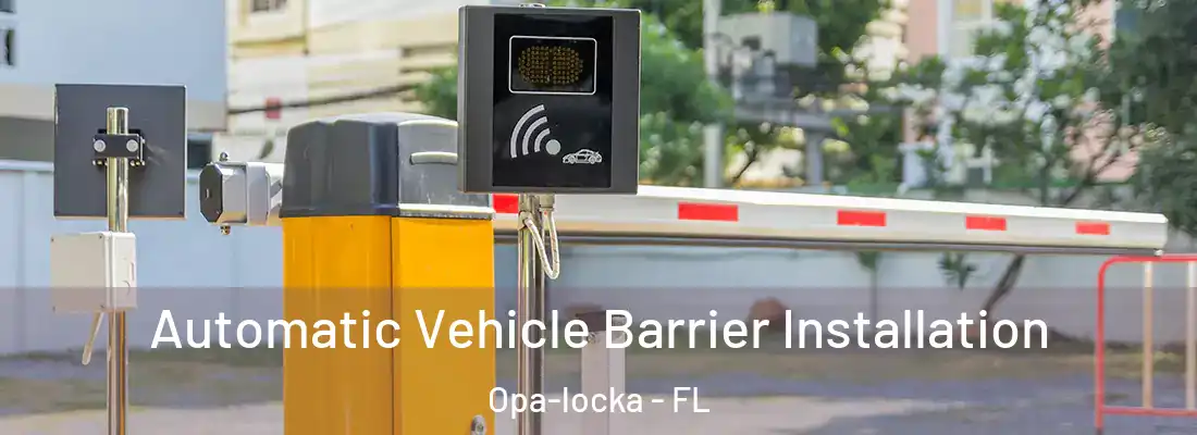  Automatic Vehicle Barrier Installation Opa-locka - FL