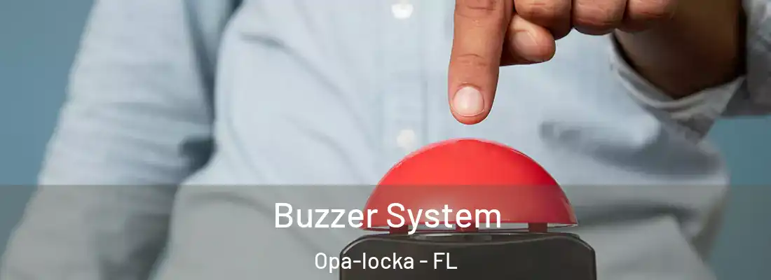  Buzzer System Opa-locka - FL