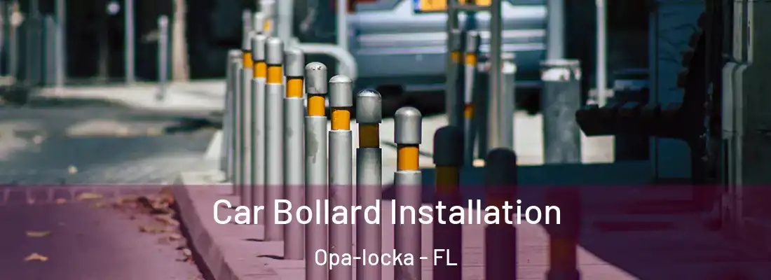  Car Bollard Installation Opa-locka - FL
