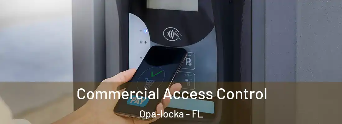  Commercial Access Control Opa-locka - FL