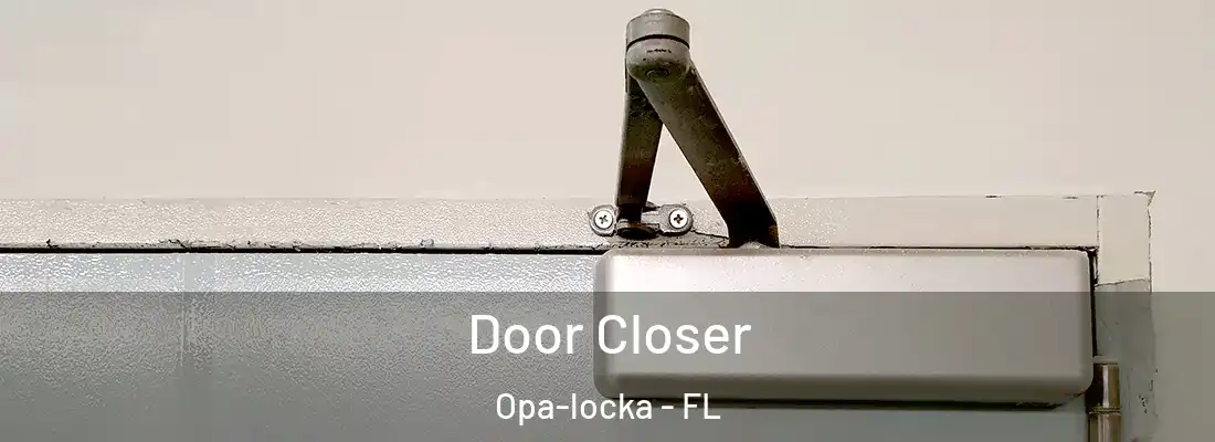  Door Closer Opa-locka - FL