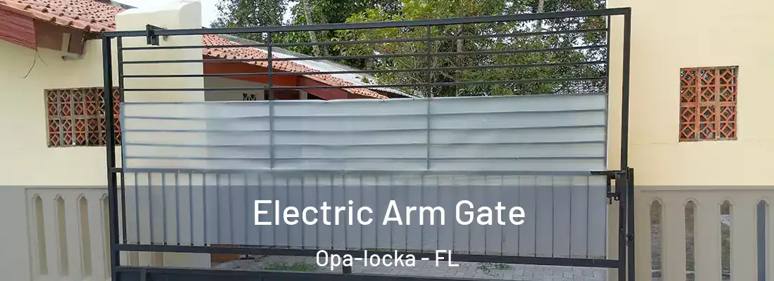 Electric Arm Gate Opa-locka - FL