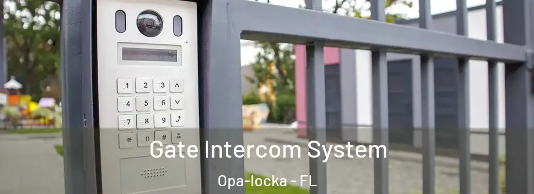  Gate Intercom System Opa-locka - FL