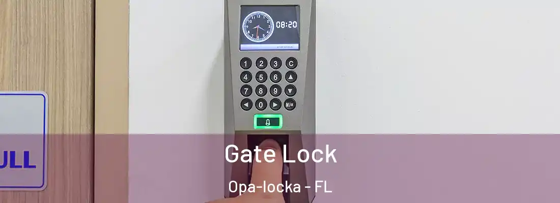  Gate Lock Opa-locka - FL