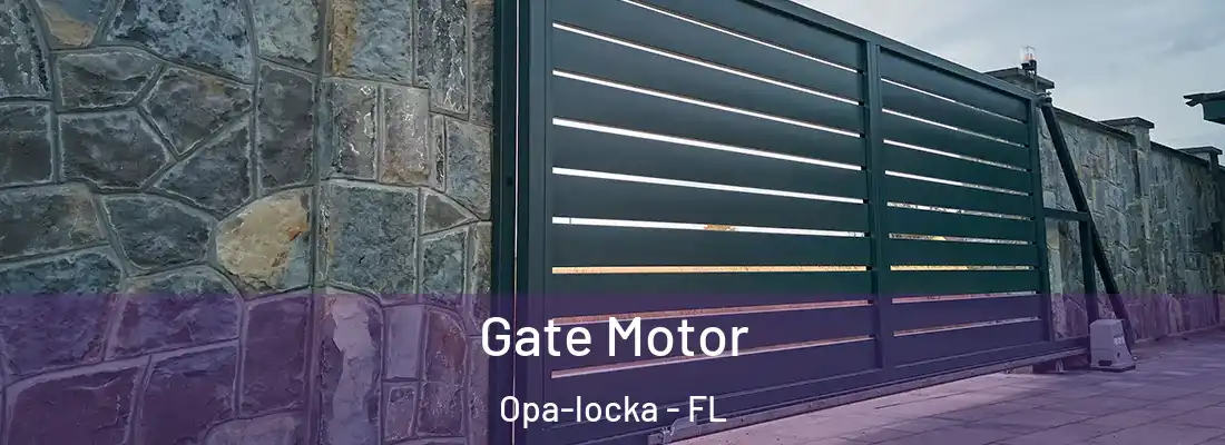  Gate Motor Opa-locka - FL