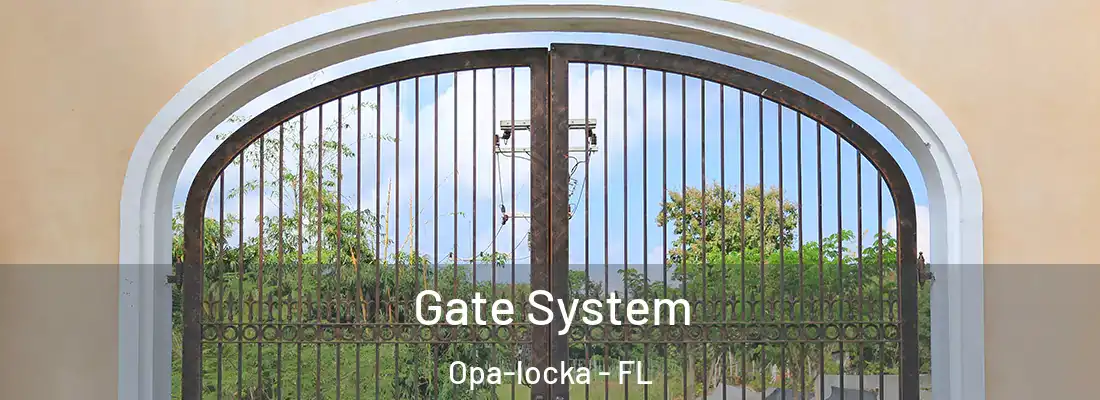  Gate System Opa-locka - FL