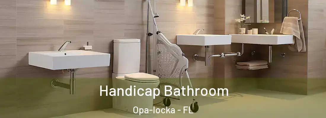  Handicap Bathroom Opa-locka - FL