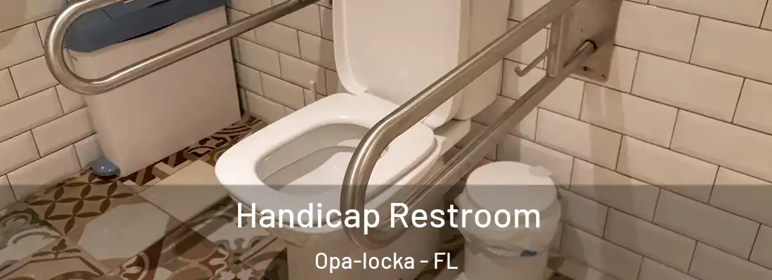  Handicap Restroom Opa-locka - FL