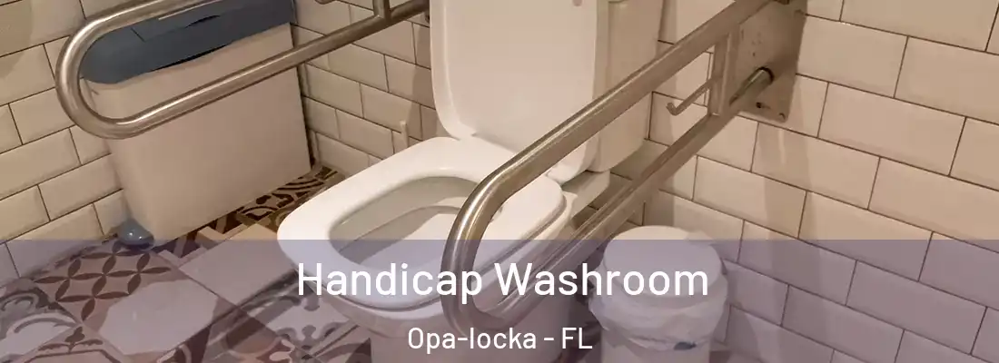  Handicap Washroom Opa-locka - FL