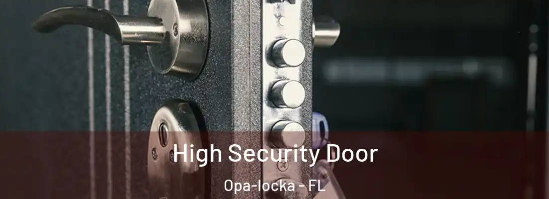  High Security Door Opa-locka - FL