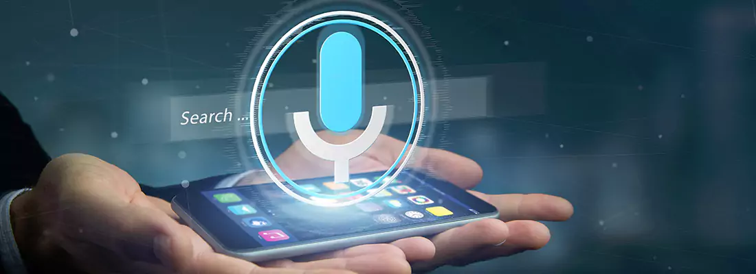 Enhance Security with Voice Recognition Access Systems in Opa-locka, FL