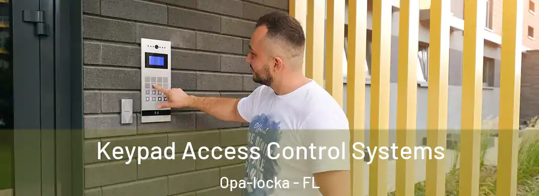  Keypad Access Control Systems Opa-locka - FL