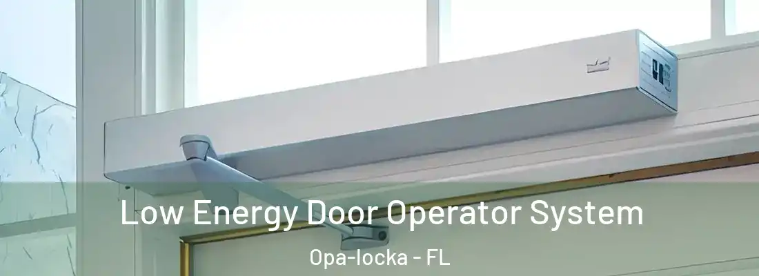  Low Energy Door Operator System Opa-locka - FL