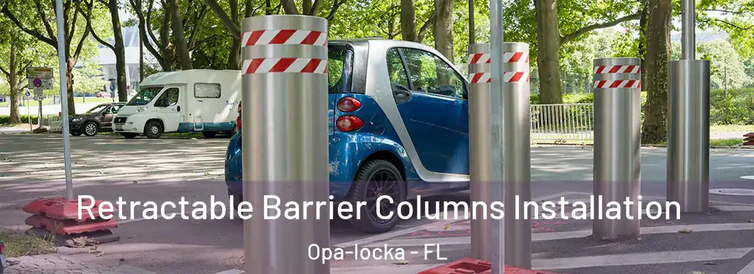  Retractable Barrier Columns Installation Opa-locka - FL
